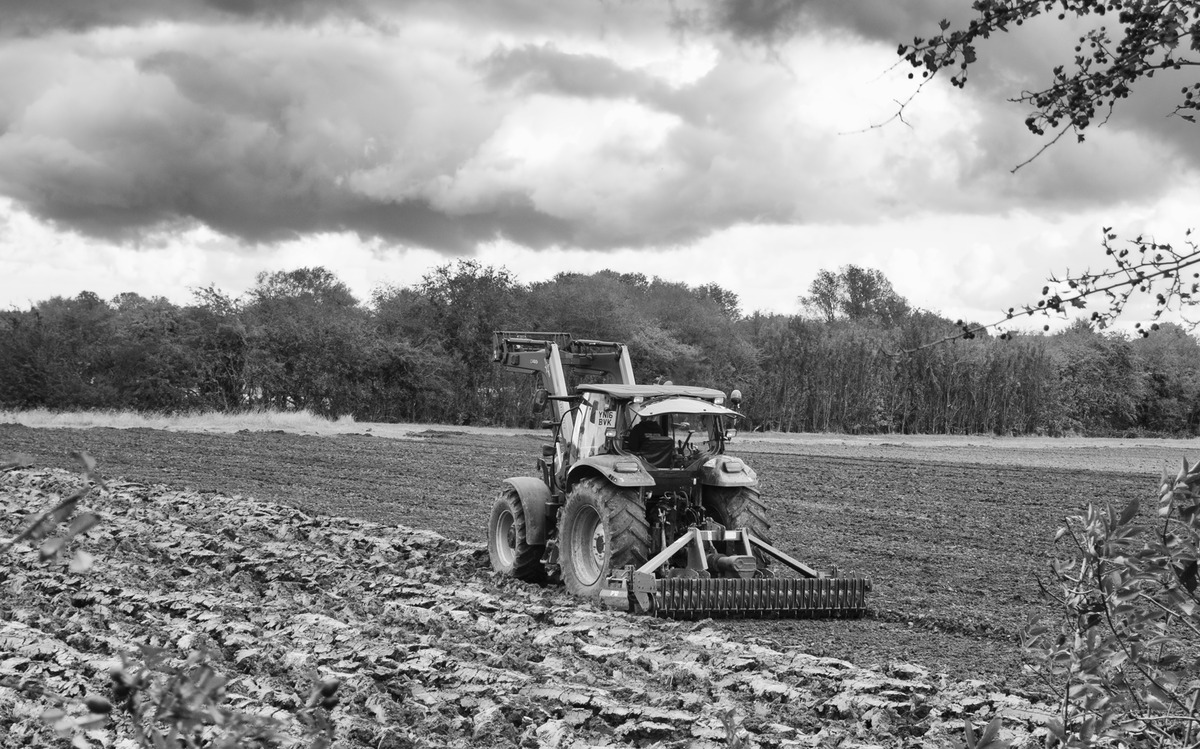 2 Preparing for sowing